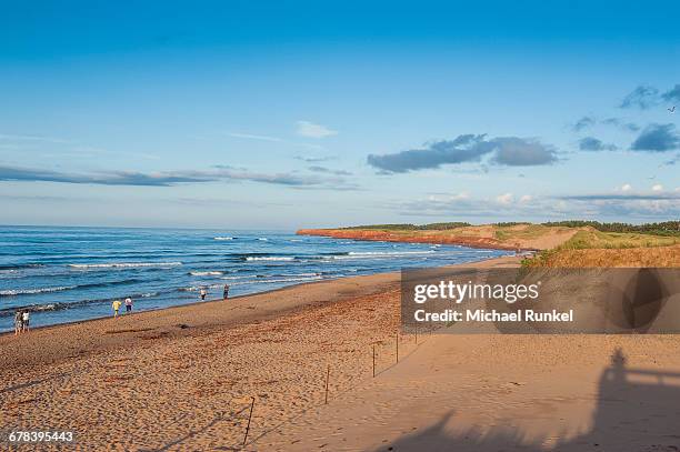 long sandy beach in the prince edward island national park, prince edward island, canada, north america - parc national de l'île du prince édouard photos et images de collection