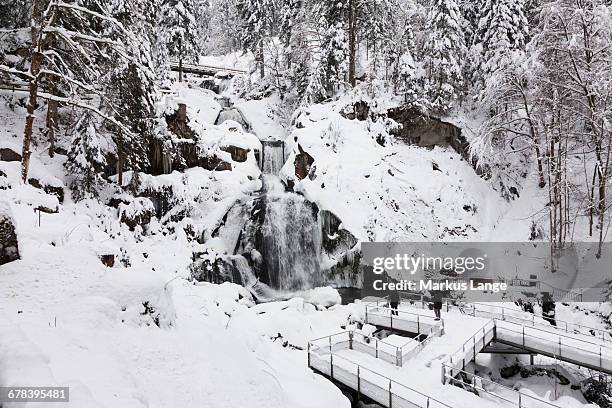 Triberg Waterfalls Photos And Premium High Res Pictures Getty Images triberg-waterfalls-photos-and-premium-high-res-pictures-getty-images
