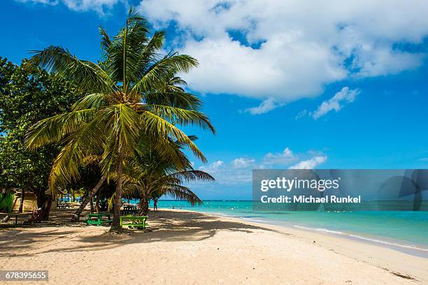 sandy beach and palm trees of pigeon point, tobago, trinidad and tobago, west indies, caribbean, central america - trinidad trinidad and tobago stock pictures, royalty-free photos & images