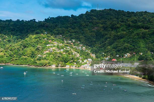 view over the bay of charlotteville, tobago, trinidad and tobago, west indies, caribbean, central america - charlotteville photos et images de collection