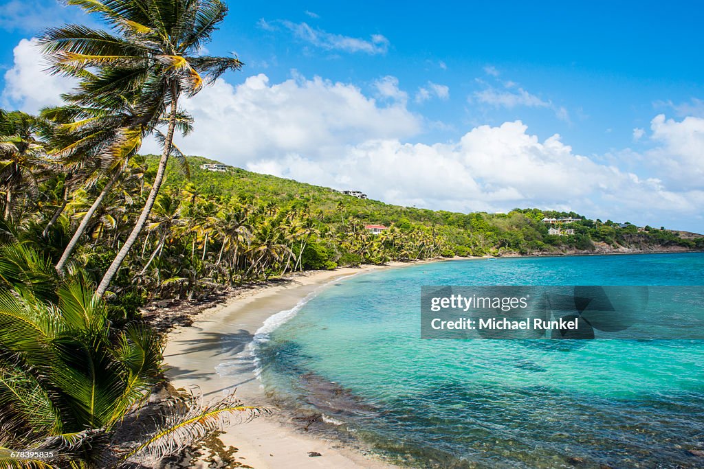 Sandy beach on Industry Bay, Bequia, The Grenadines, St. Vincent and the Grenadines, Windward Islands, West Indies, Caribbean, Central America