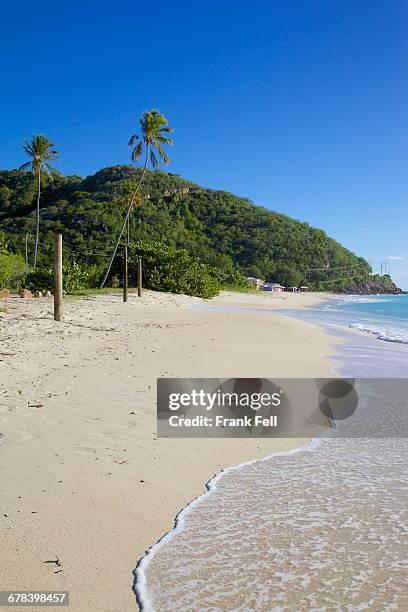 darkwood beach, st. johns, antigua, leeward islands, west indies, caribbean, central america  - darkwood beach foto e immagini stock