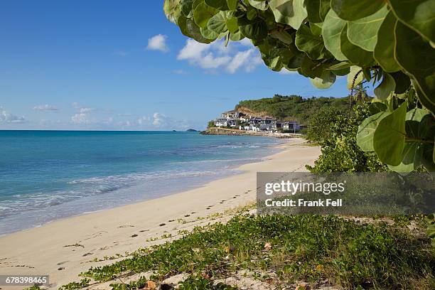 darkwood beach, st. johns, antigua, leeward islands, west indies, caribbean, central america  - darkwood beach foto e immagini stock