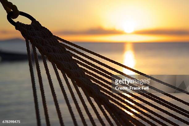 hammock and beach at sunset, morris bay, st. mary, antigua, leeward islands, west indies, caribbean, central america  - antigua leeward islands stockfoto's en -beelden