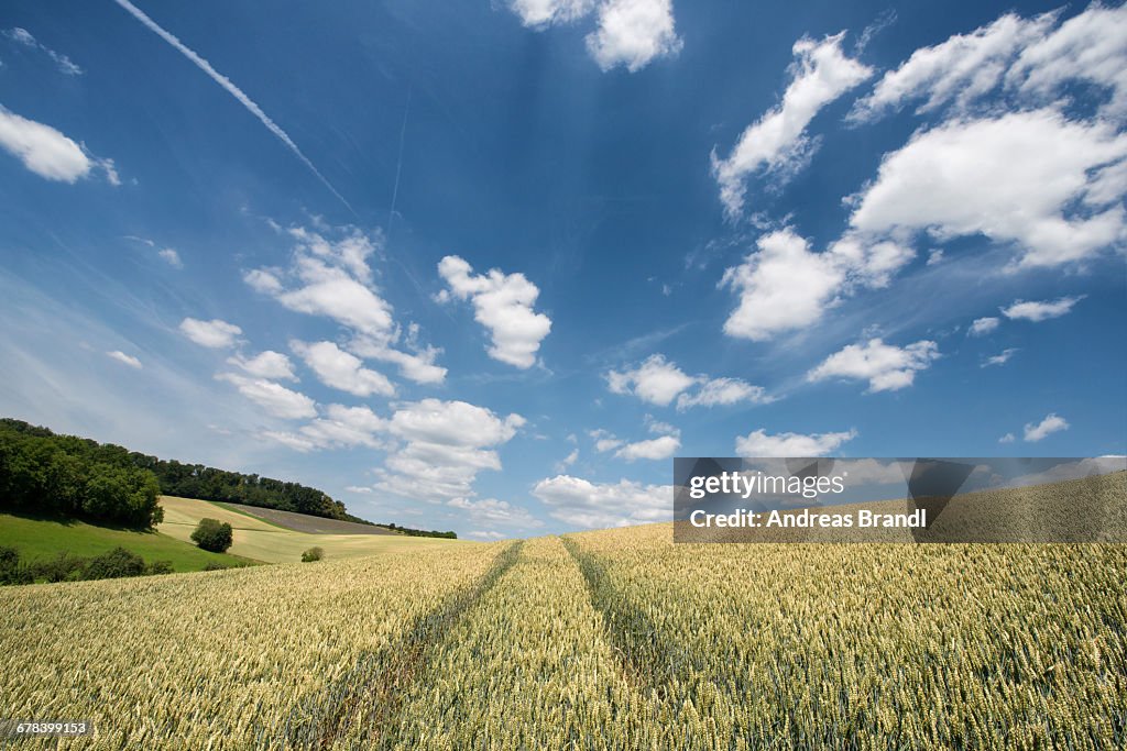 German landscape in summer, Baden-Wurttemberg, Germany, Europe