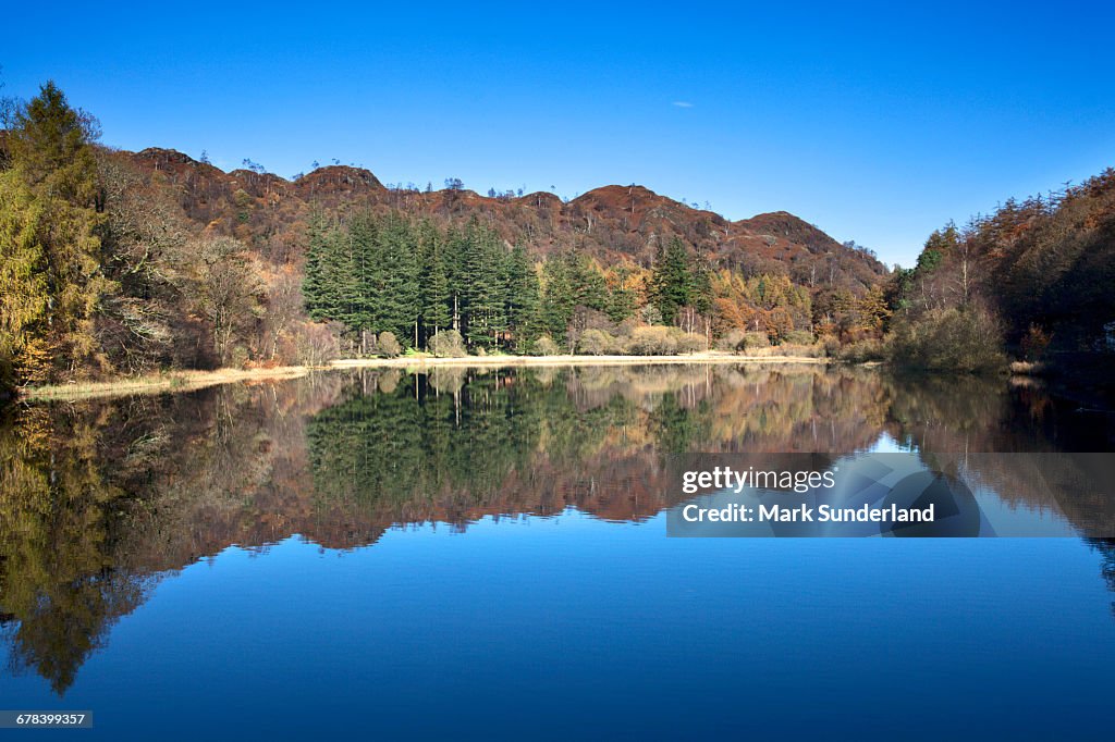 Yew Tree Tarn on a sunny autumn day, Lake District National Park, Cumbria, England, United Kingdom, Europe