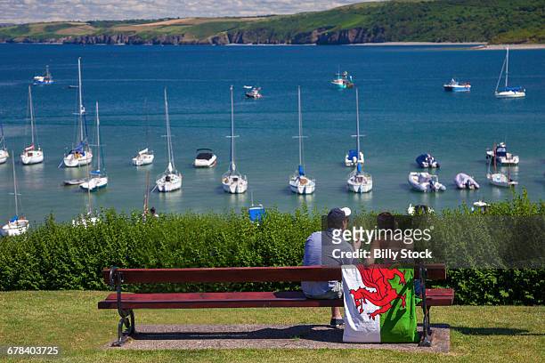 new quay, ceredigion, dyfed, west wales, wales, united kingdom, europe - ceredigion stock pictures, royalty-free photos & images