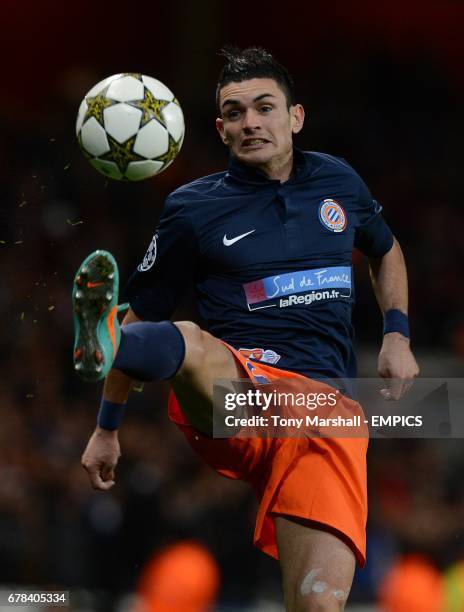 Tony Remy 301 Tony Remy Stock Photos, High-Res Pictures, and Images - Getty Images