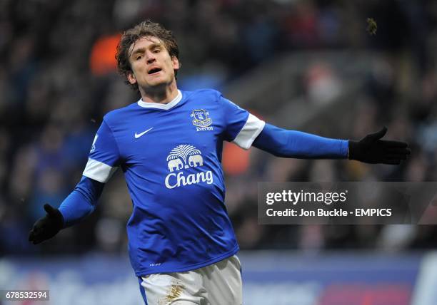 Everton's Nikica Jelavic rues a missed chance