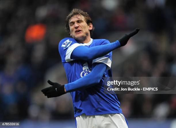 Everton's Nikica Jelavic rues a missed chance