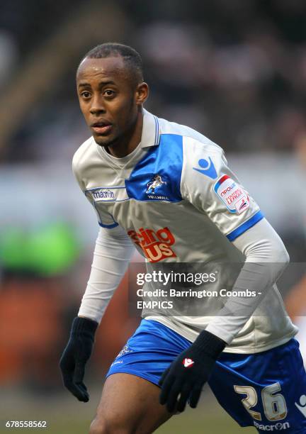 Jimmy Absu 125 Jimmy Abdou Photos & High Res Pictures - Getty Images