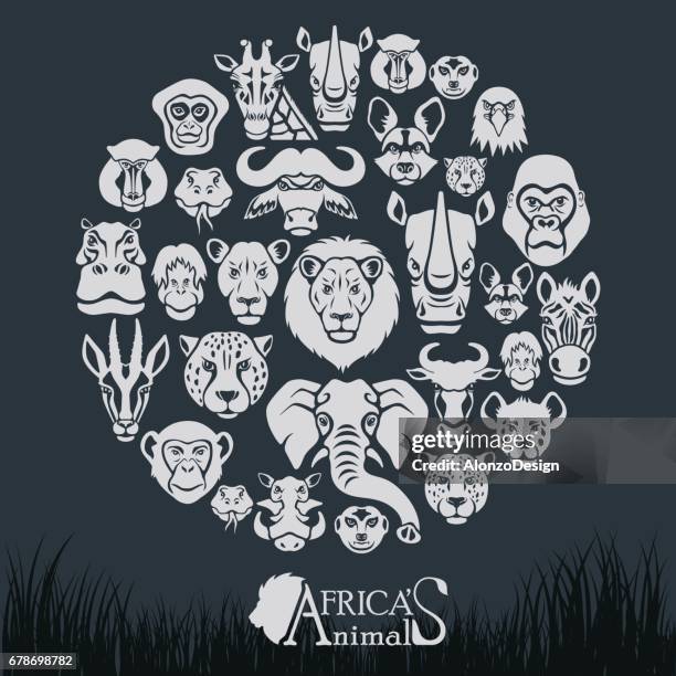 stockillustraties, clipart, cartoons en iconen met afrikaanse dieren collage - zebrahyena