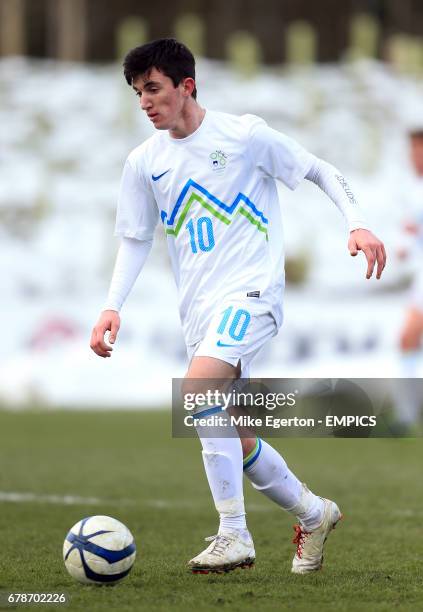 Alen Ozbolt, Slovenia Under 17's