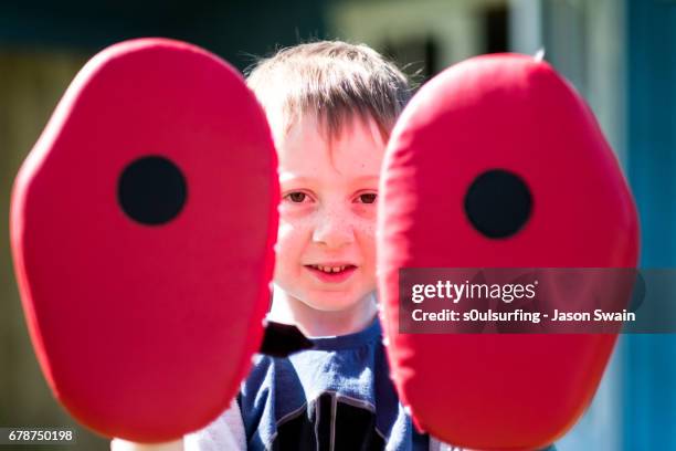 the boxer - totland bay stock pictures, royalty-free photos & images