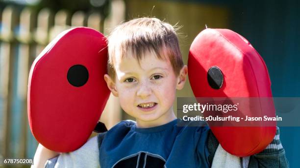 the boxer - totland bay stock pictures, royalty-free photos & images