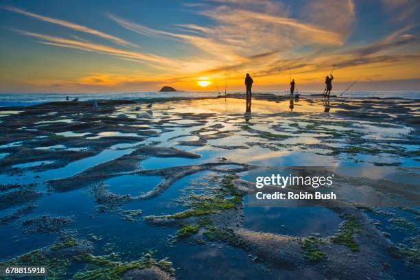 fishing muriwai wave platform - north island new zealand stock pictures, royalty-free photos & images