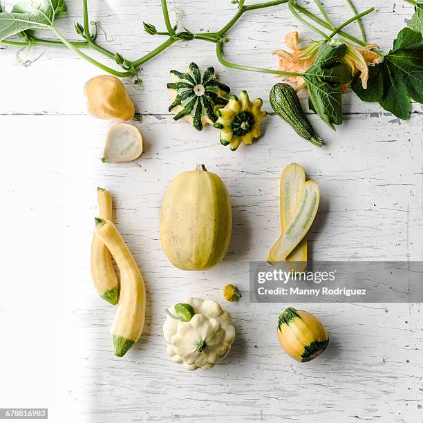 variety of gourds on white wooden table - yellow squash stock pictures, royalty-free photos & images