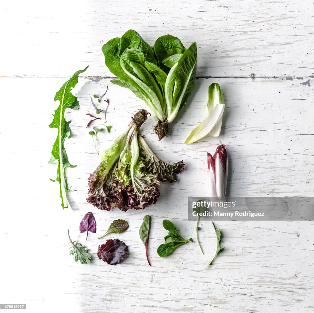 Variety of leaves on white wooden table