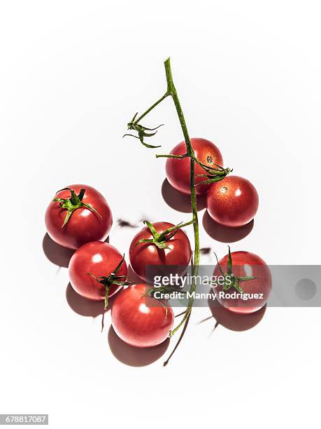tomatoes on vine - cherry tomato foto e immagini stock