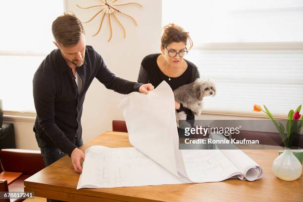 caucasian couple with dog examining blueprints - department of interior holds a take your dog to work day stock pictures, royalty-free photos & images