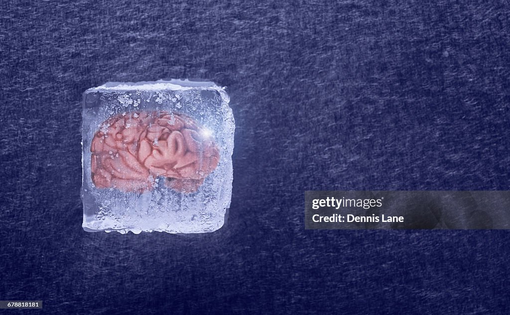 Brain frozen in ice cube