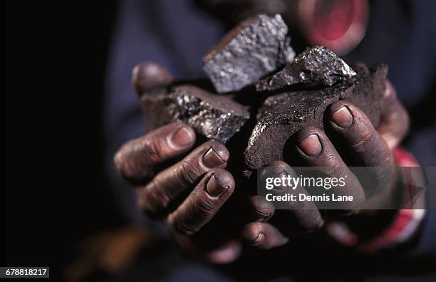 hands holding lumps of coal - coal miner stock-fotos und bilder