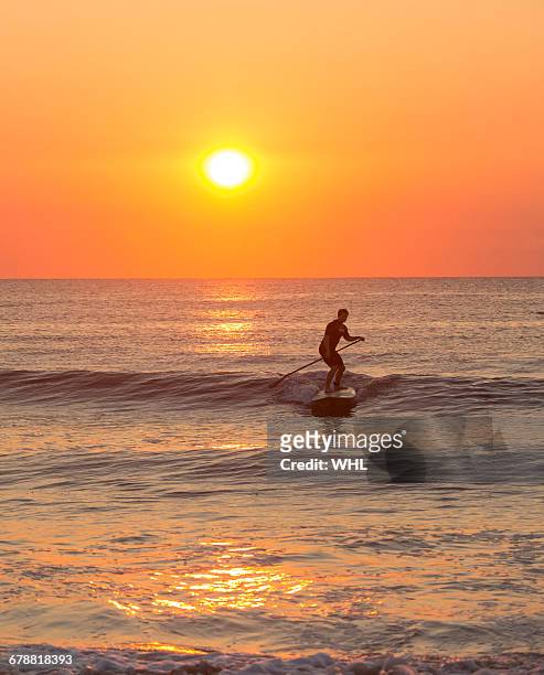 silhouette of man paddleboarding on ocean waves - virginia beach va stock pictures, royalty-free photos & images