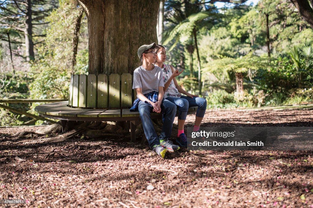 Mixed Race brother and sister sitting on bench at tree