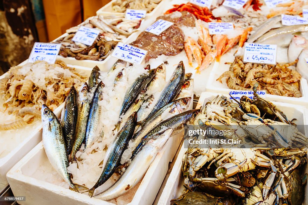 Seafood on ice in market