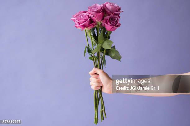 arm of caucasian woman holding bouquet of roses - bouquet imagens e fotografias de stock