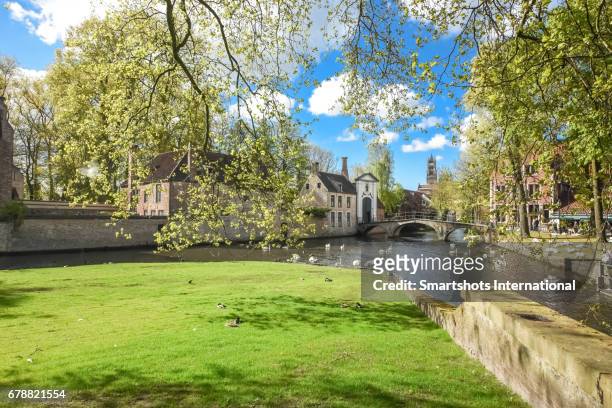 minnewater lake (lake of love) on a perfect spring day with romantic sky, saint savior cathedral bell tower on background, beguinage and swans, bruges, belgium - internationaal monument stockfoto's en -beelden