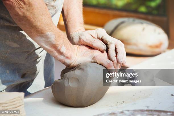 a person, potter preparing a lump of damp clay for throwing.  - kneading stock pictures, royalty-free photos & images