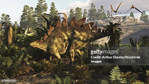 bildbanksillustrationer, clip art samt tecknat material och ikoner med a stegosaurus hanging out. - stegosaurus