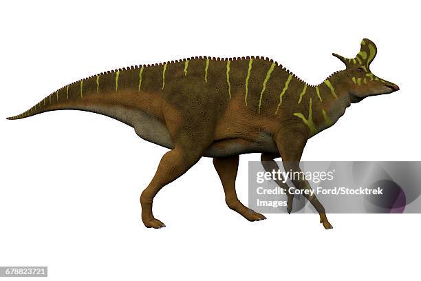 lambeosaurus dinosaur on white background. - lambeosaurus stock illustrations
