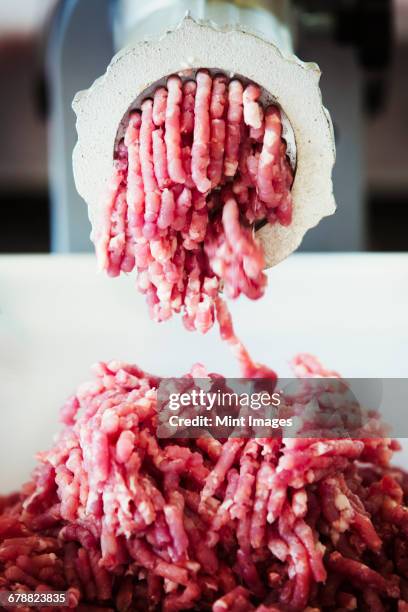 close up of freshly ground meat coming out of a meat grinder. - meat grinder stock pictures, royalty-free photos & images