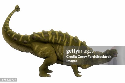 Talarurus dinosaur, side profile. Talarurus dinosaur, side profile.
