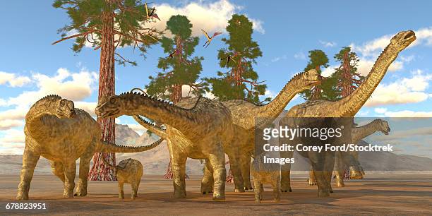 a herd of sauropod uberabatitan dinosaurs. - sauropoda stock-grafiken, -clipart, -cartoons und -symbole