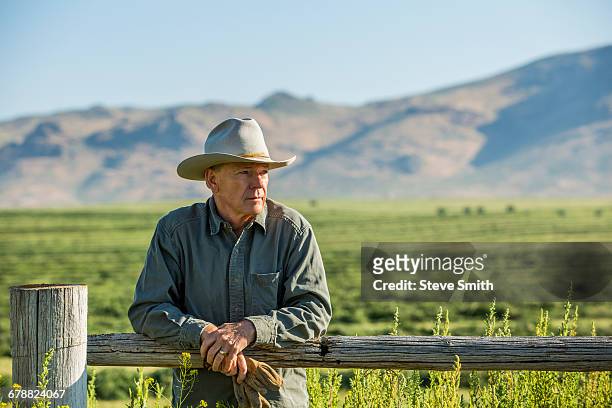 caucasian farmer holding gloves leaning on wooden fence - fences 2016 film stock-fotos und bilder