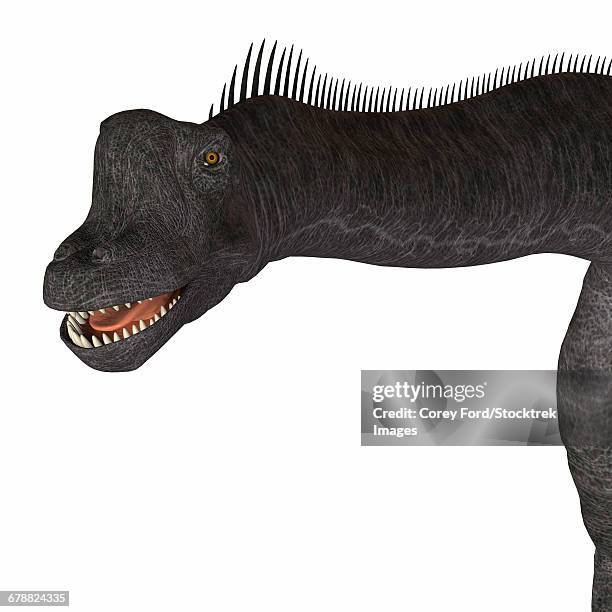 Saurus Head Sauropod Head Photos and Premium High Res Pictures - Getty Images