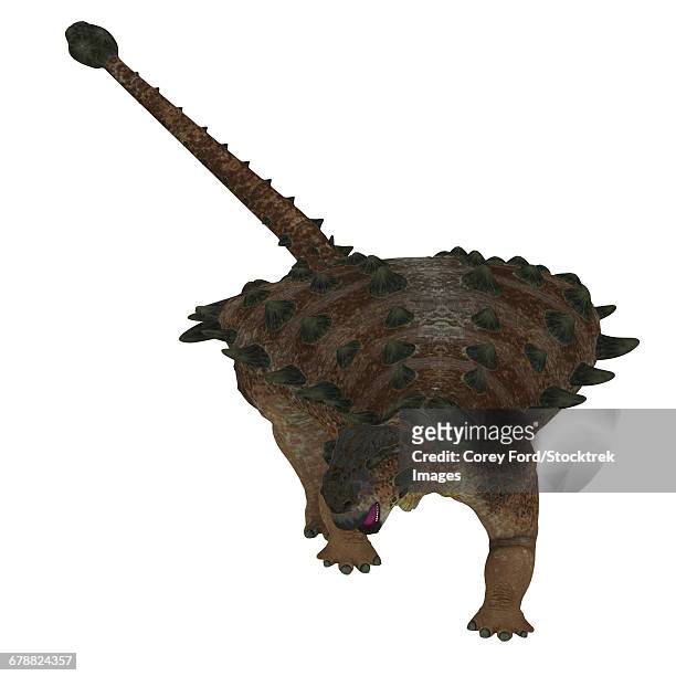 front view of a pinacosaurus dinosaur. - scute stock illustrations