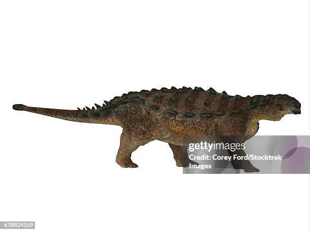 side profile of a pinacosaurus dinosaur. - scute stock illustrations