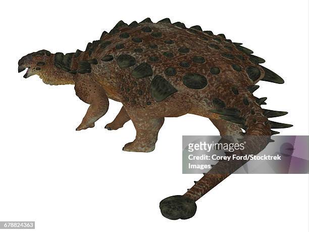 pinacosaurus dinosaur on white background. - scute stock illustrations