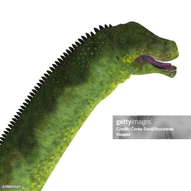 Saurus Head 109 Sauropod Head Stock Photos, High-Res Pictures, and Images - Getty ...