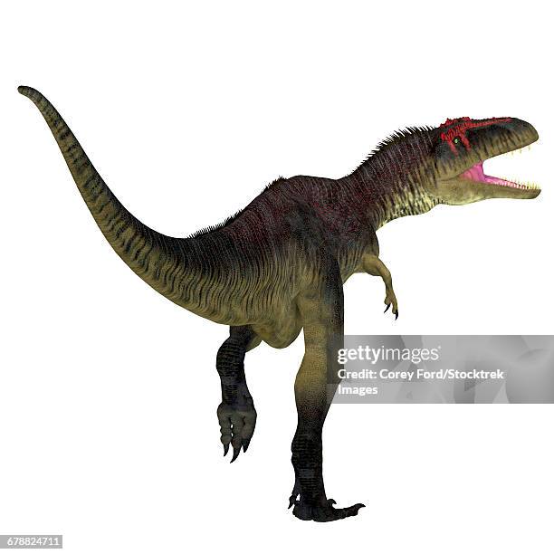 tyrannotitan dinosaur on white background. - running behind stock illustrations