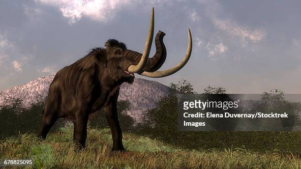 stockillustraties, clipart, cartoons en iconen met mammoth walking in nature by day. - animal trunk