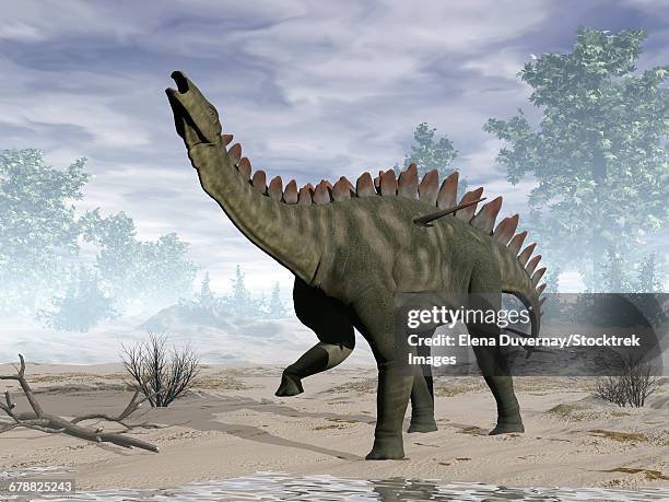 miragaia dinosaur rearing up. - scute stock illustrations