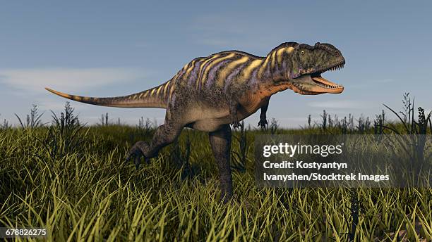 alluring aucasaurus in grassland. - swamp monster stock illustrations