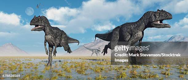 ilustraciones, imágenes clip art, dibujos animados e iconos de stock de carnivorous allosaurus dinosaurs during earths jurassic period. - allosaurus