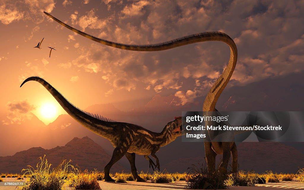 A carnivorous Allosaurus in a deadly battle with a Diplodocus dinosaur at dawn.