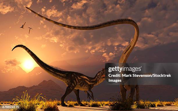 a carnivorous allosaurus in a deadly battle with a diplodocus dinosaur at dawn. - diplodocus dinosaur stock illustrations